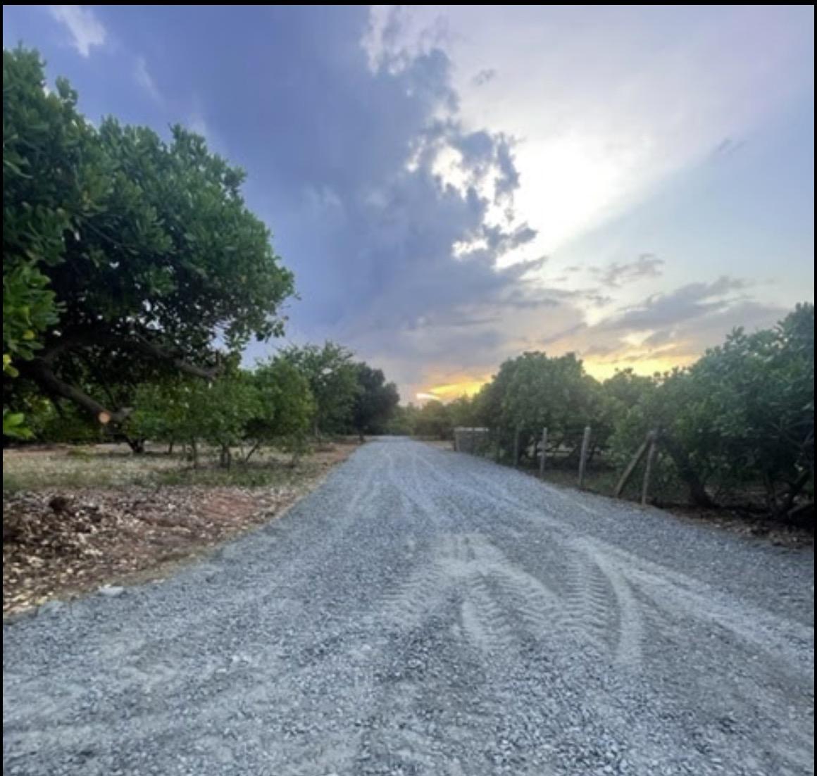 03 new road - Green Plots near Matri Mandir in Bommayapalayam - Auroville