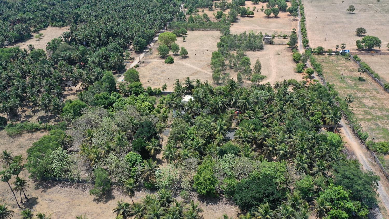 03 drone view side - Guest House with Tree Farm in Alapakkam - ECR