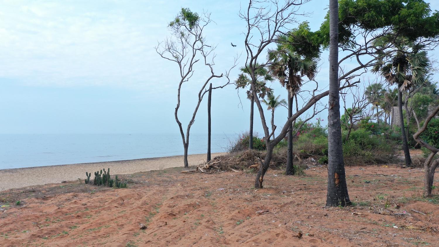 02 land on shore - Land right on Sea Shore in Periyamudaliyar Chavadi - Auroville