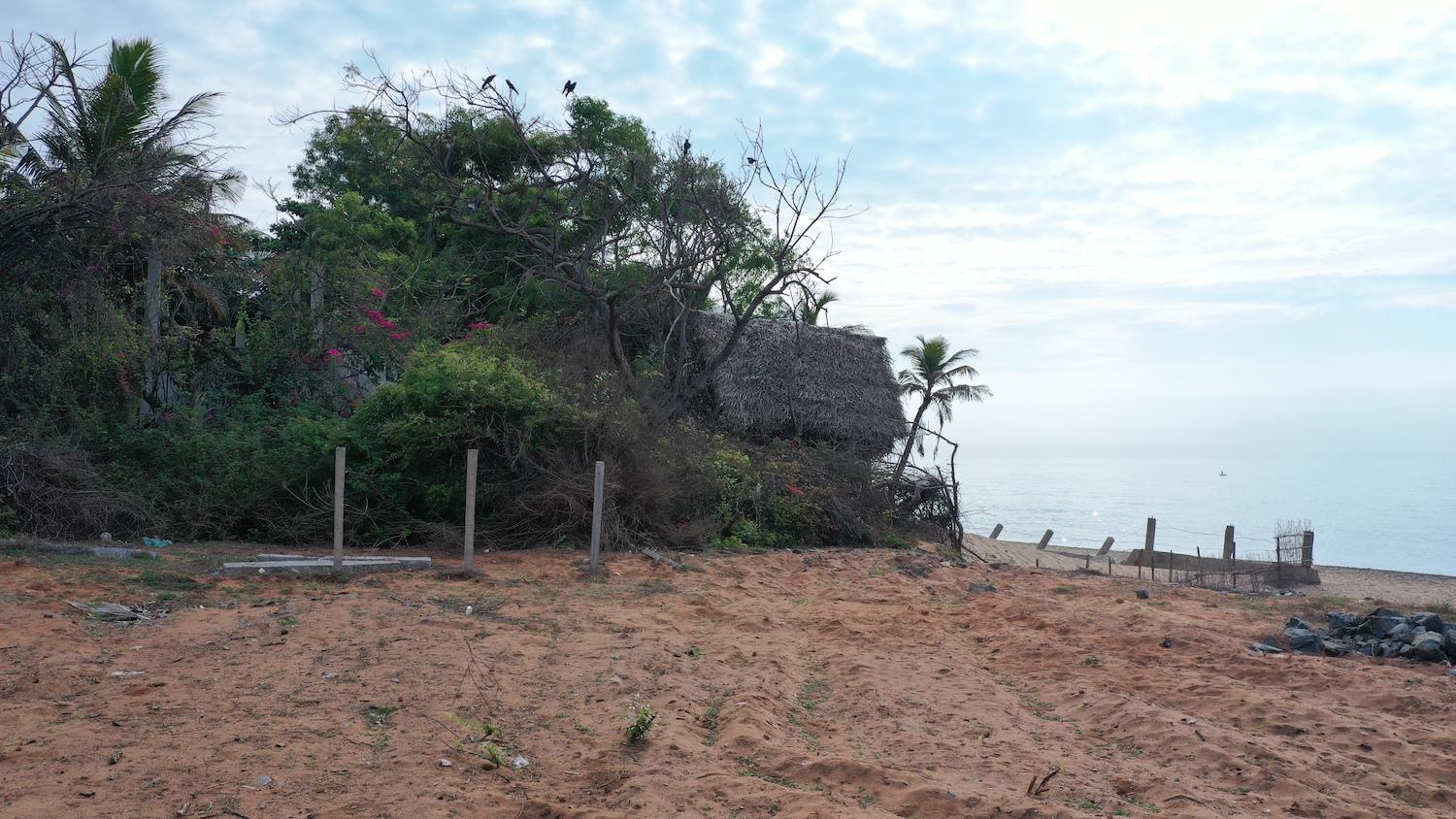 04 land view on beach - Land right on Sea Shore in Periyamudaliyar Chavadi - Auroville