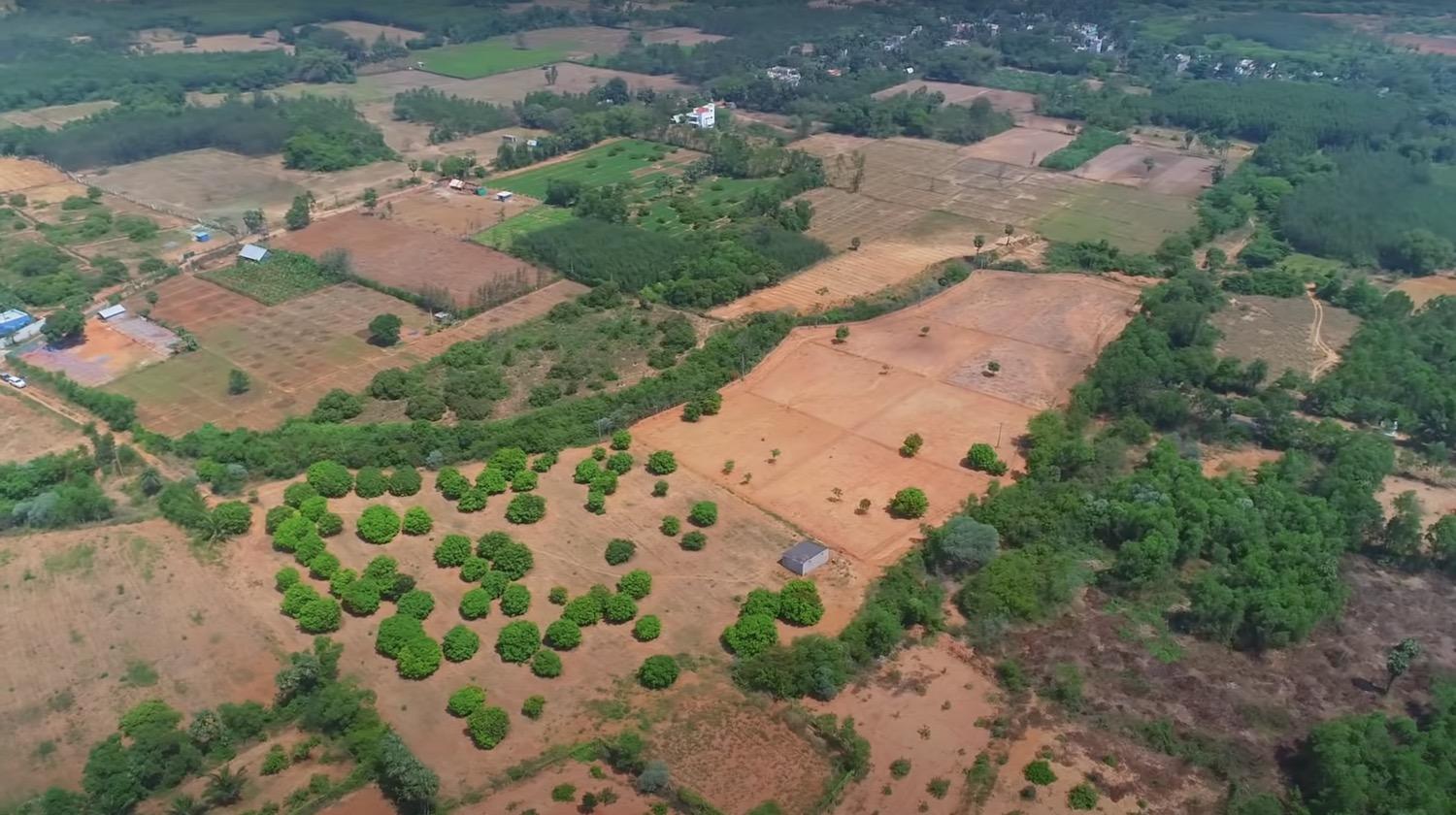 02 drone view side - Mango Farm Land near Auroville in Mathur