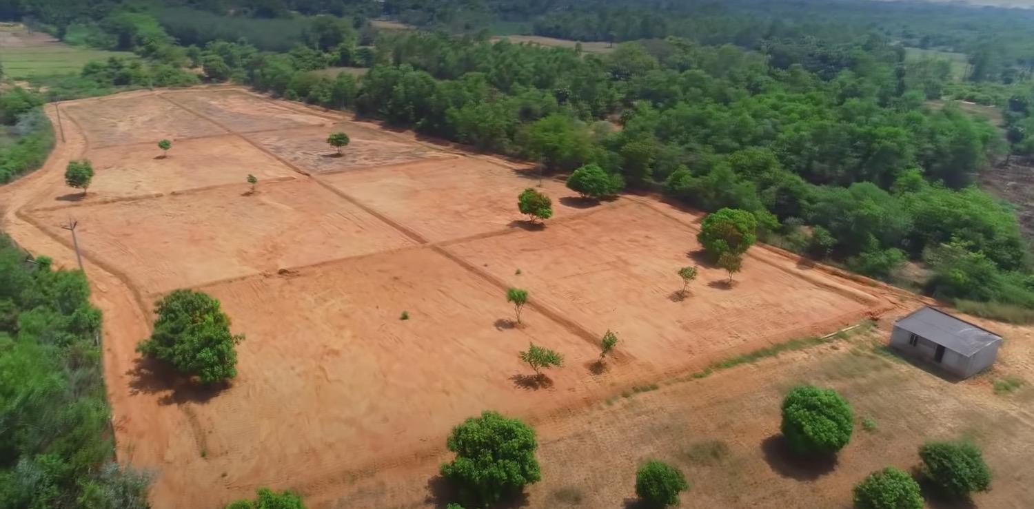 03 drone view 1 - Mango Farm Land near Auroville in Mathur