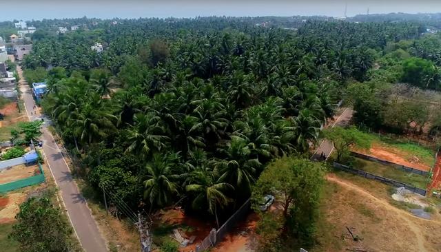 01 drone view corner - Cashew Farm Land in Auroville