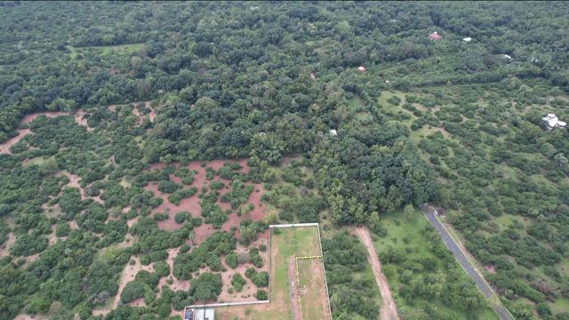 01 drone view farm - Farm Land Plots besides PEC in Mathur - Auroville Road