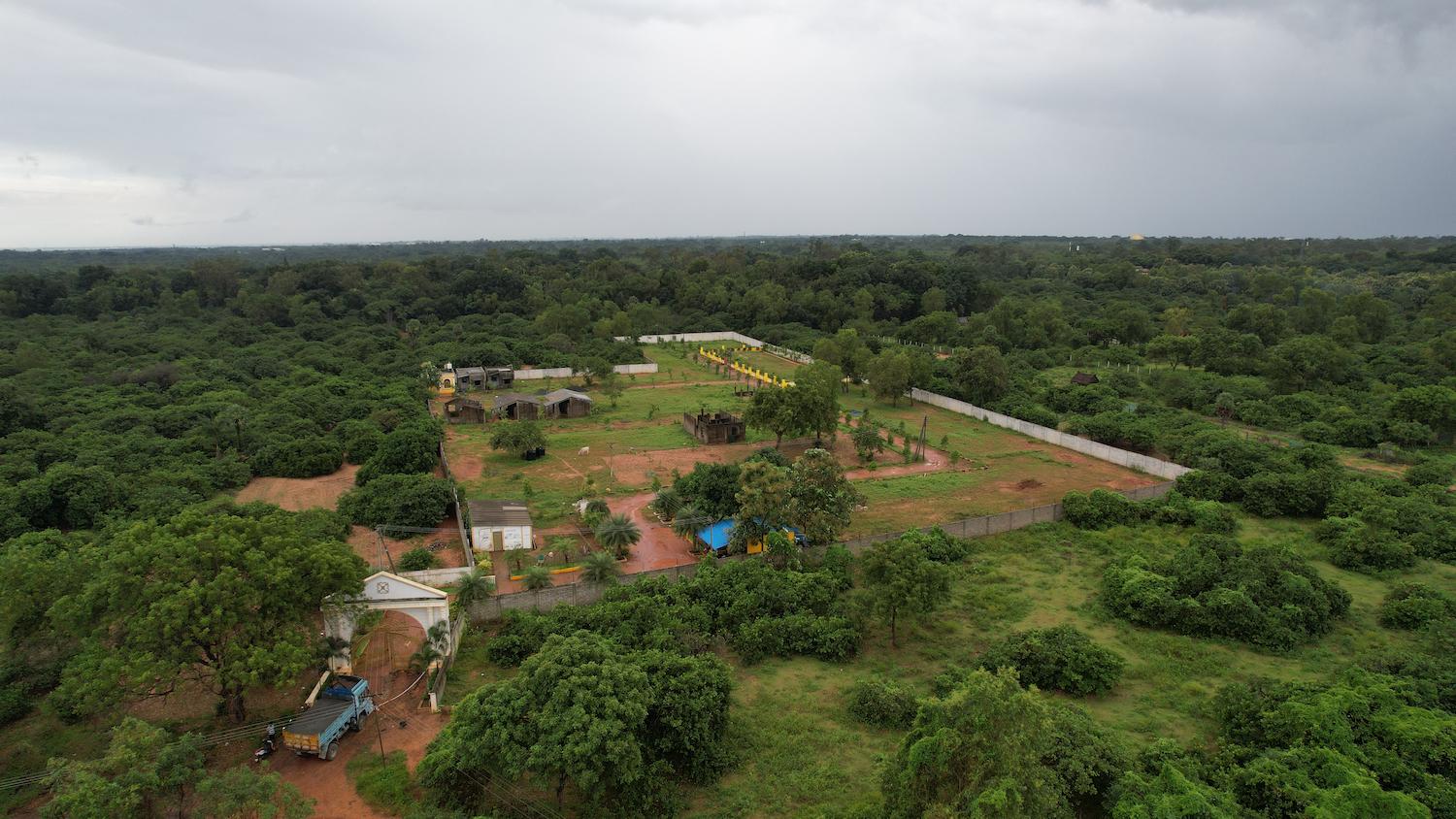 04 view from plot 2 - Farm Land Plots besides PEC in Mathur - Auroville Road