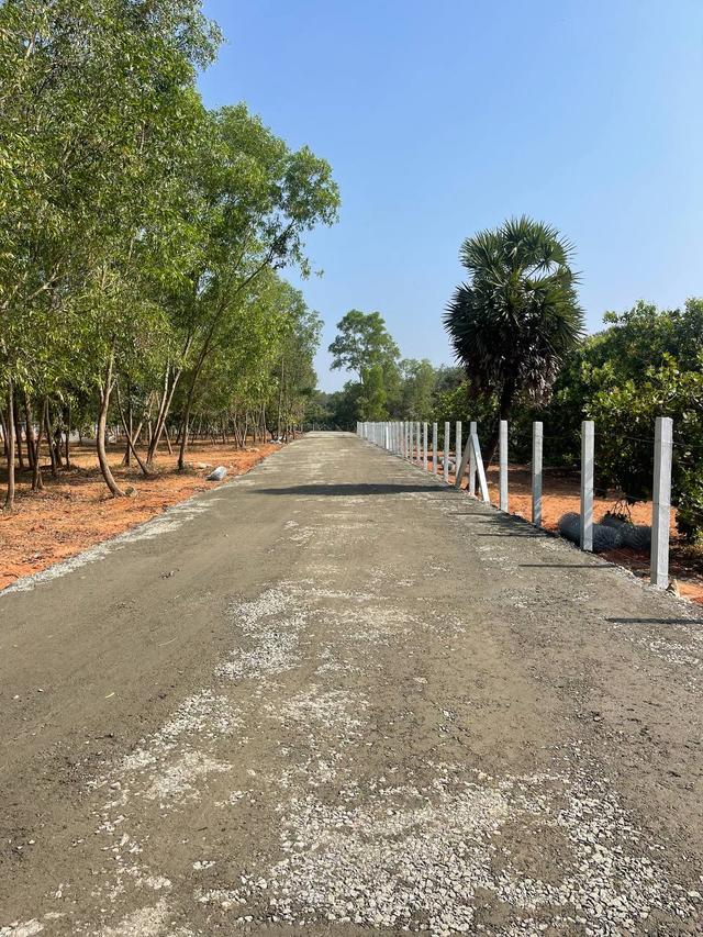 01 site entrance - Residential Plots at Auroville in Bommayapalayam - Auroville