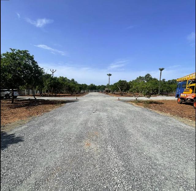 01 cross section - Green Plots near Matri Mandir in Bommayapalayam - Auroville