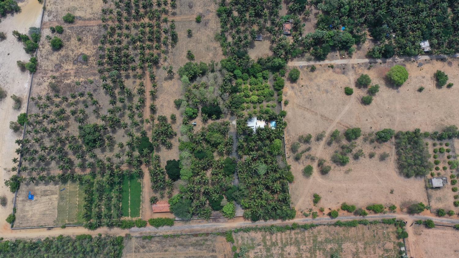 02 drone view top - Guest House with Tree Farm in Alapakkam - ECR