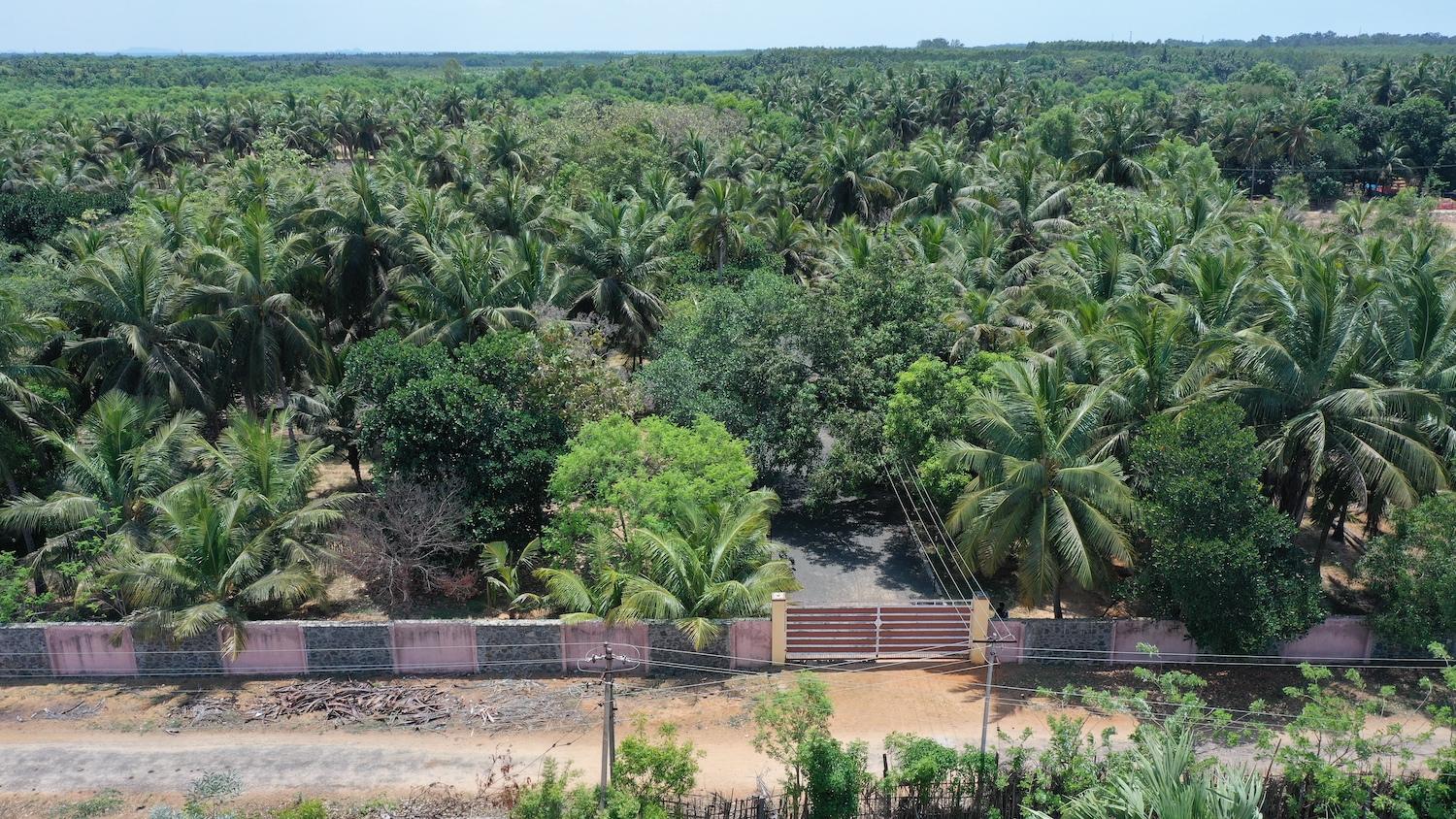 04 entrance gate - Guest House with Tree Farm in Alapakkam - ECR