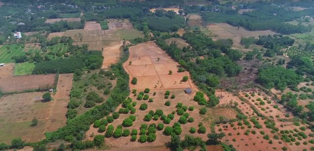 01 drone view - Mango Farm Land near Auroville in Mathur